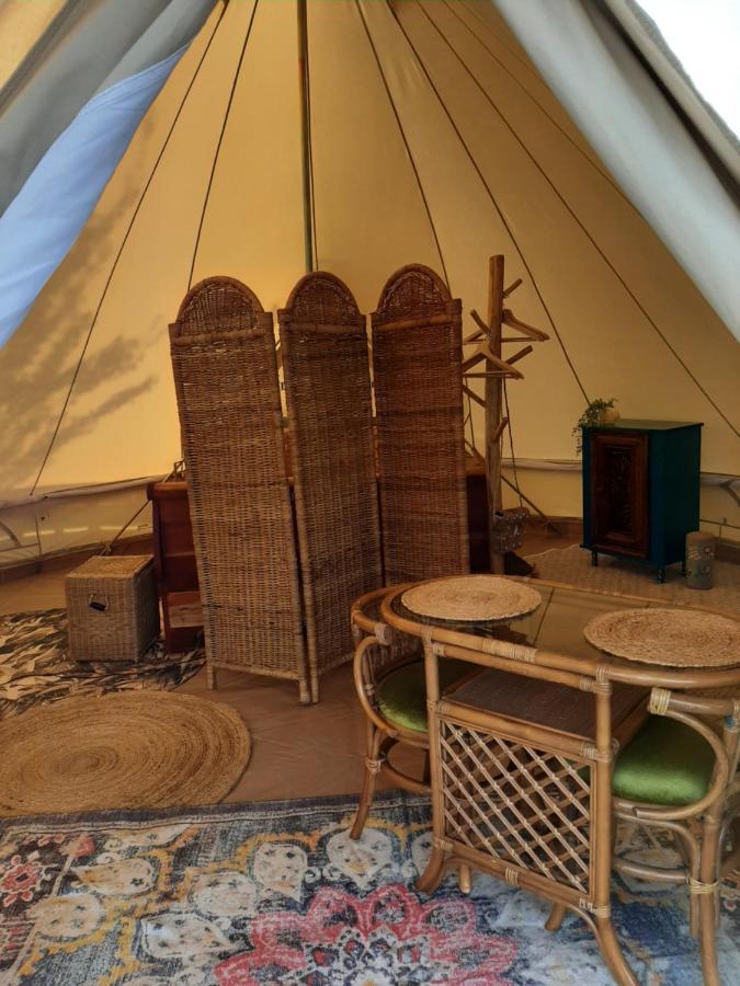 Glamping De Vrije Wind, Tentverhuur Houwerzijl エクステリア 写真
